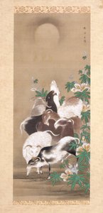 Goats and Moon by Toun Kano
