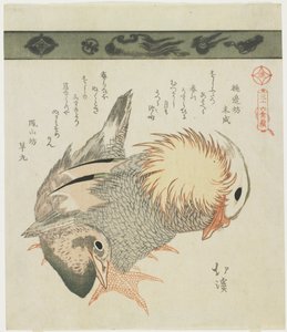 Mandarin Duck and Drake, c. 1830 by Toyota Hokkei