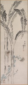Banana Plant and Chrysanthemum