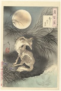 Moon of Musashi
