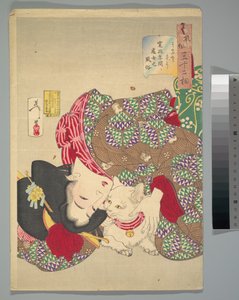 Teasing the Cat by Tsukioka Yoshitoshi