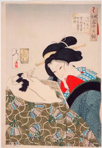 Warm: An Urban Widow of the Kansei Period (1789-1800) by Tsukioka Yoshitoshi