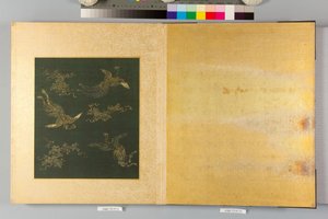 Album of Hawks and Calligraphy by Tsunenobu Kano