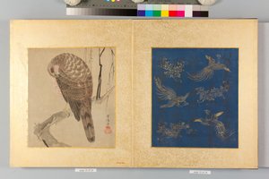 Album of Hawks and Calligraphy