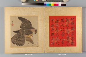 Album of Hawks and Calligraphy