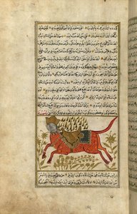 Buraq, the Prophet Muhammad