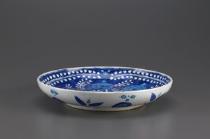 Dish
