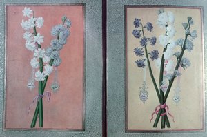 Two Hyacinths, 1736 by Turkish School