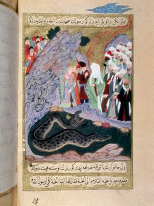 The Prophet Muhammad tames a snake by Turkish School