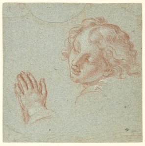 Head and Hands of a Praying Youth