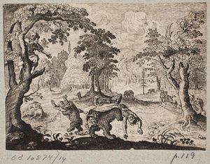 Men attacked by bears