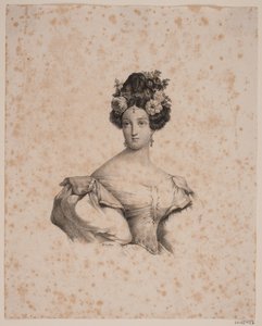 Unknown Lady