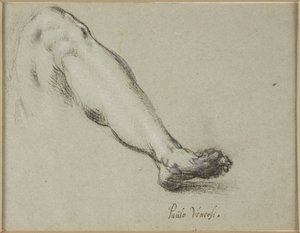 Study for Lower Part of a Left Leg by Ubekendt Ubekendt