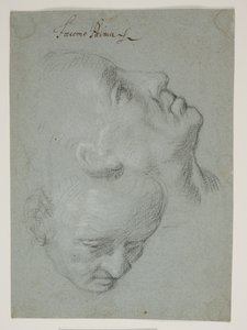 Two Studies of Male Faces by Ubekendt Ubekendt