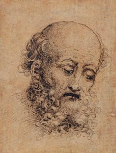 Bearded Man