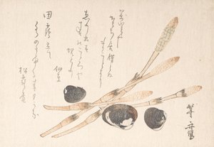 Tsukushi Plant and Shijimi Shells by Uematsu Toshu