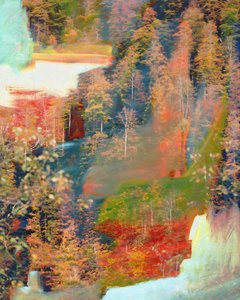 Abstract Autumn Forest Dream by Uma Gokhale