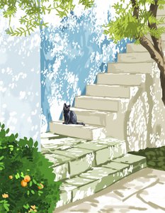 Black Cat Sunny Steps by Uma Gokhale