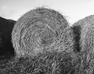 Agriculture in the Essonne October 1983 hay mill straw by Unbekannt