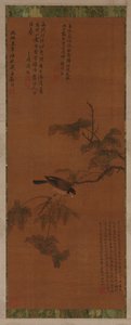 A Bird on a Leafy Branch