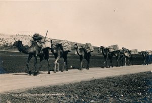 A Camel Train Bound for Damascus by Unbekannt