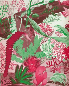 A Collection of Over Fifty Species of Red, Green and Brown Seaweeds