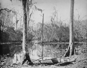 A Feeder of the St. Johns River, Florida, c1897