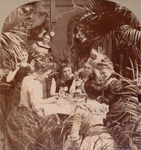 A Fortune in a Teacup