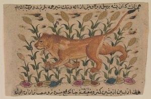 A Lion, Folio from a Dispersed Nuzhatnama-i ‘Ala’i of Shahmardan ibn Abi’l Khayr, early 17th century by Unbekannt