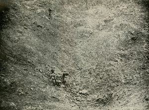 A Mine Crater in High Wood, 1919
