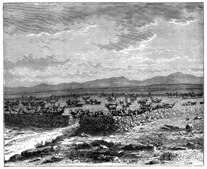A South African Cattle Kraal