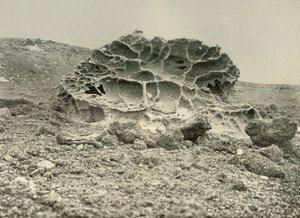 A Weathered Kenyte Boulder Near the Winter Quarters by Unbekannt