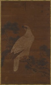 A White eagle on a pine branch by Unbekannt
