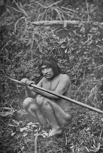 A Yaghan Attaching The Head of His Harpoon to the Shaft, 1911 by Unbekannt