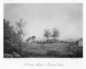 A cricket match on Bansted Downs, Surrey, 19th century