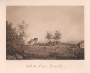 A cricket match on Bansted Downs, Surrey