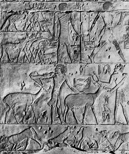 A Hunting Scene from the Tomb of Ptahhotep, Near Saqqara, Egypt, c2650 BC