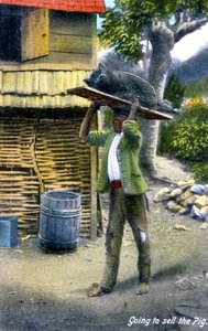 A Man on His Way to Market to Sell a Pig, Jamaica by Unbekannt