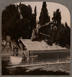 Abrahams Oak near Hebron