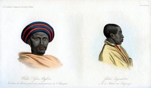 Abyssinian portraits