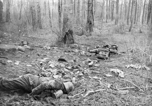 Aftermath of the Fighting in the Park of Plessis-de-Roye, Picardy, France, 30th March 1918 by Unbekannt