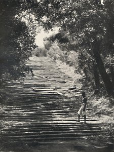 Beginning of the Stone Steps of Mihintale, 1926