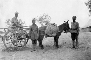 Army Service Corps, Howshera, 1917