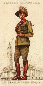 Australian Light Horse