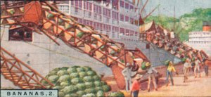 Bananas 2 - Loading a Steamship, Costa Rica by Unbekannt