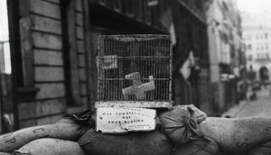 Barricade on the Rue de Chateaudun, liberation of Paris, August 1944 by Unbekannt