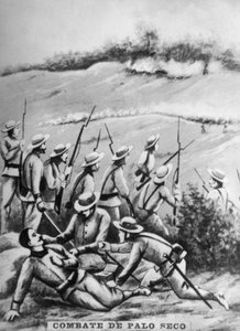 Battle of Palo Seco