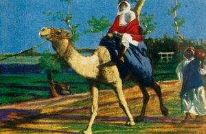 Bedouin riding a camel, Egypt