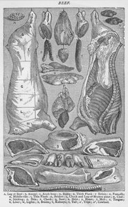 Beef, 1907