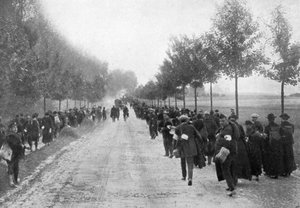 Belgians Fleeing from Termonde, First World War